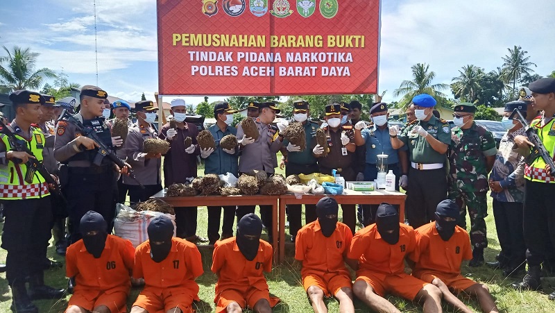 Polres Abdya Musnahkan BB Ganja Dan Sabu Polres Abdya Musnahkan BB Ganja Dan Sabu