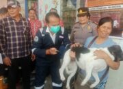 Pemko P. Siantar Vaksinasi Rabies Gratis 