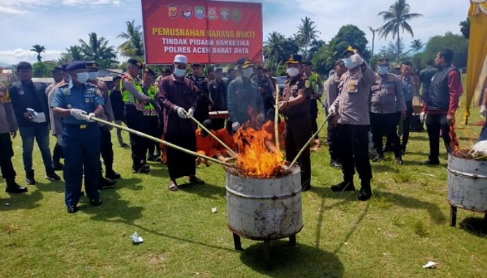 Polres Abdya Musnahkan BB Ganja Dan Sabu