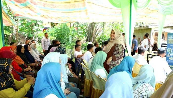 Alue Nyamuk Pilot Project Desa Wisata Aceh Timur