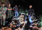 Yonif 123/RW P.Sidimpuan Amankan 28 Pelaku Narkoba