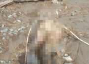 Mayat Mr X Gemparkan Warga