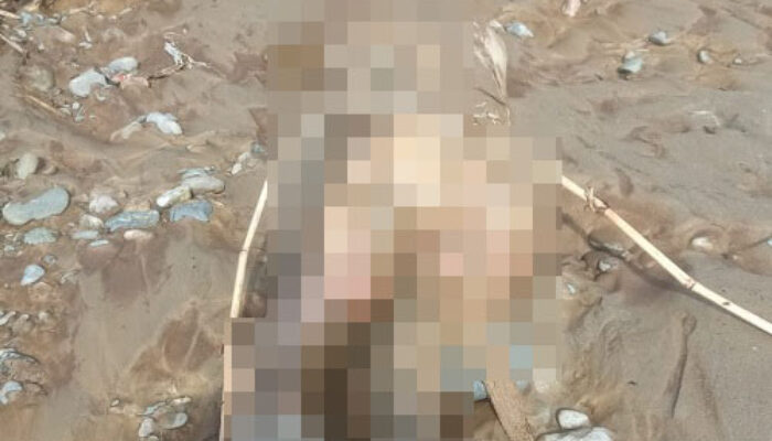 Mayat Mr X Gemparkan Warga