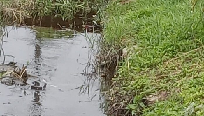 Atasi Banjir, Pembenahan Drainase Dan Parit Mendesak Di Labuhanruku