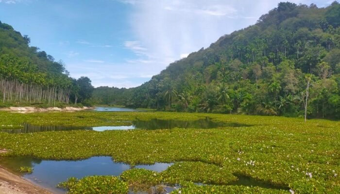 Pertama Di Aceh, Hutan Adat Diakui Negara