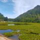 Kawasan Hutan di Kemukiman Paloh, Kecamatan Padang Tiji, Kabupaten Pidie. (Waspada/Ist)