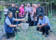 Pj Wali Kota Sabang Panen Bawang