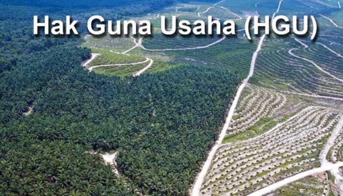 PTPN IV Kebun Timur Ajukan HGU 4.053 Ha, Warga Diabaikan