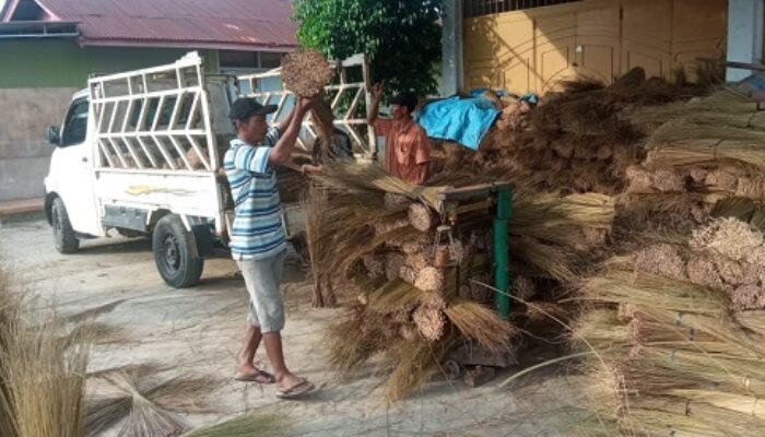 Sapu Lidi Sawit Di Tamiang Diekspor Ke India Dan Pakistan