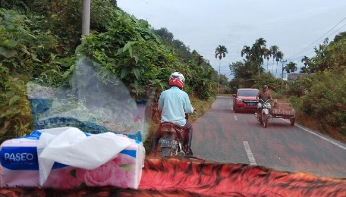 Rumput Liar Tutupi Sejumlah Bahu Jalan Di Agara
