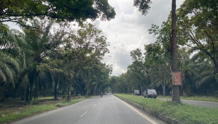 Jalan Megawati Gelap, Pj Gubsu Diminta Ambil Sikap