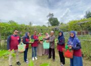 BPJamsostek Langsa Berikan Bibit Tanaman Pangan Ke Kelompok Tani