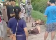 Pelajar SMA Tewas Ditabrak Truk