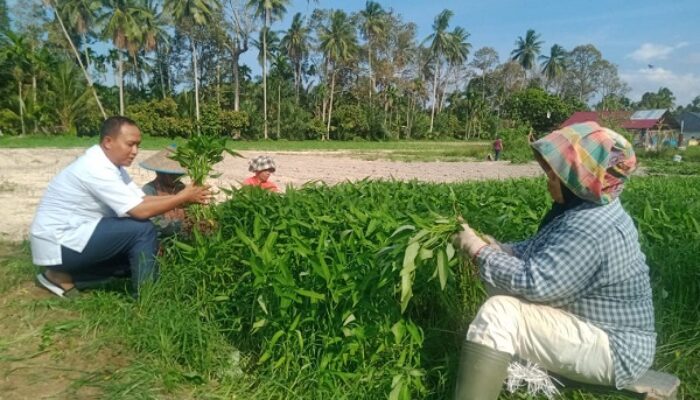 Airbatu Kembangkan Agrowisata Pertanian Organik