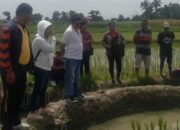 Bhabinkamtibmas Polres P.Siantar Monitor Persiapan Program Mina Padi