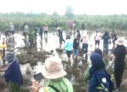 Jaga Ekosistem Pesisir, USU Bersama Komunitas Internasional Tanam Mangrove