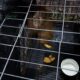 ORANGUTAN yang sering menjadi objek perdagangan ilegal oleh pihak yang tidak bertanggungjawab. Waspada/ist.