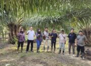 Anak Perusahaan Holding Perkebunan Nusantara III (Persero) Raih Produktivitas Kilogram TBS Tertinggi Terhadap RKAP