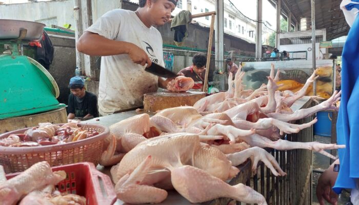 Harga Daging Ayam Naik Hingga 3.000 per Kg