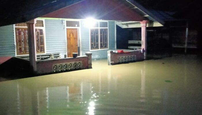 Banjir Landa Simeulue, Kawasan Bebas Banjir Terdampak Berat
