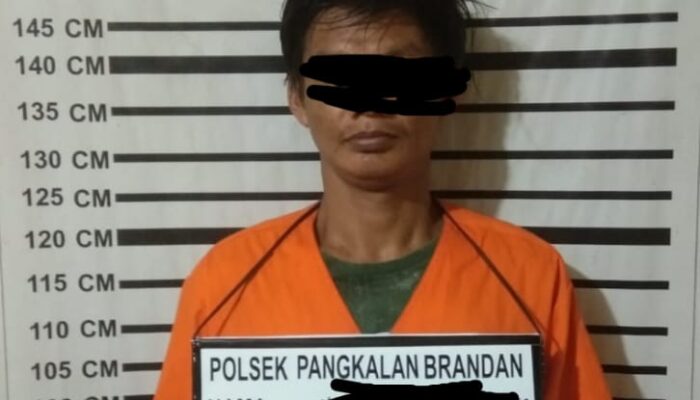 Pencuri Ratusan Bebek Ditangkap Polisi Brandan 