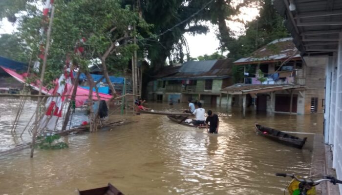 Sungai Tamiang Meluap, Rendam Beberapa Wilayah Di Aceh Tamiang