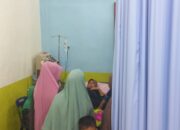 Digigit Anjing Gila, 2 Warga Abdya Dilarikan Ke RSUTP