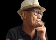 Pj Gubsu Jangan Anggap Enteng Lampu Kuning Geopark Kaldera Toba