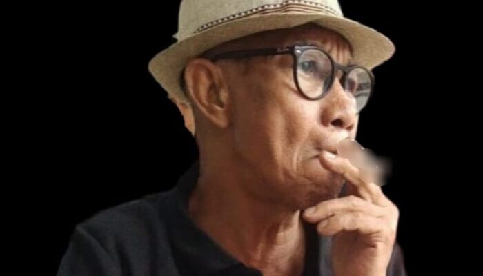Pj Gubsu Jangan Anggap Enteng Lampu Kuning Geopark Kaldera Toba