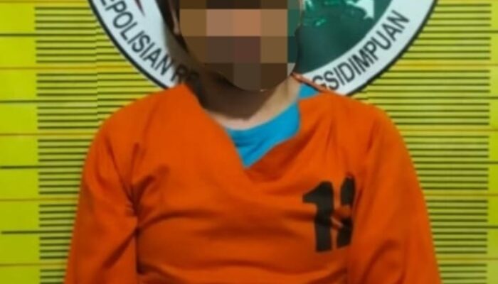 Warga Tapsel Ditangkap Di Sidimpuan, Punya Sabu Dan Pistol Rakitan