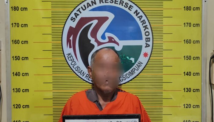 Pria Tua Ini Jadi Bandar Ganja, Jual 1 Kg Ke Residivis