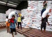 Jokowi Setujui Buka Lagi Kran Impor Beras 1,5 Juta Ton Sampai Akhir 2023