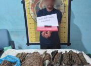 Warga Bener Meriah Simpan Sabu Dan Ganja Di Aceh Tengah Diamankan