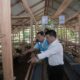Manager Unit Pelaksana Pelayanan Pelanggan (UP3) Binjai, Arief Rahman Hakim bersama Assisstant II Pemerintah Kota Binjai, Joko Waskitono melakukan peninjauan penyediaan hewan domba di rumah kandang domba, Rabu (11/10).