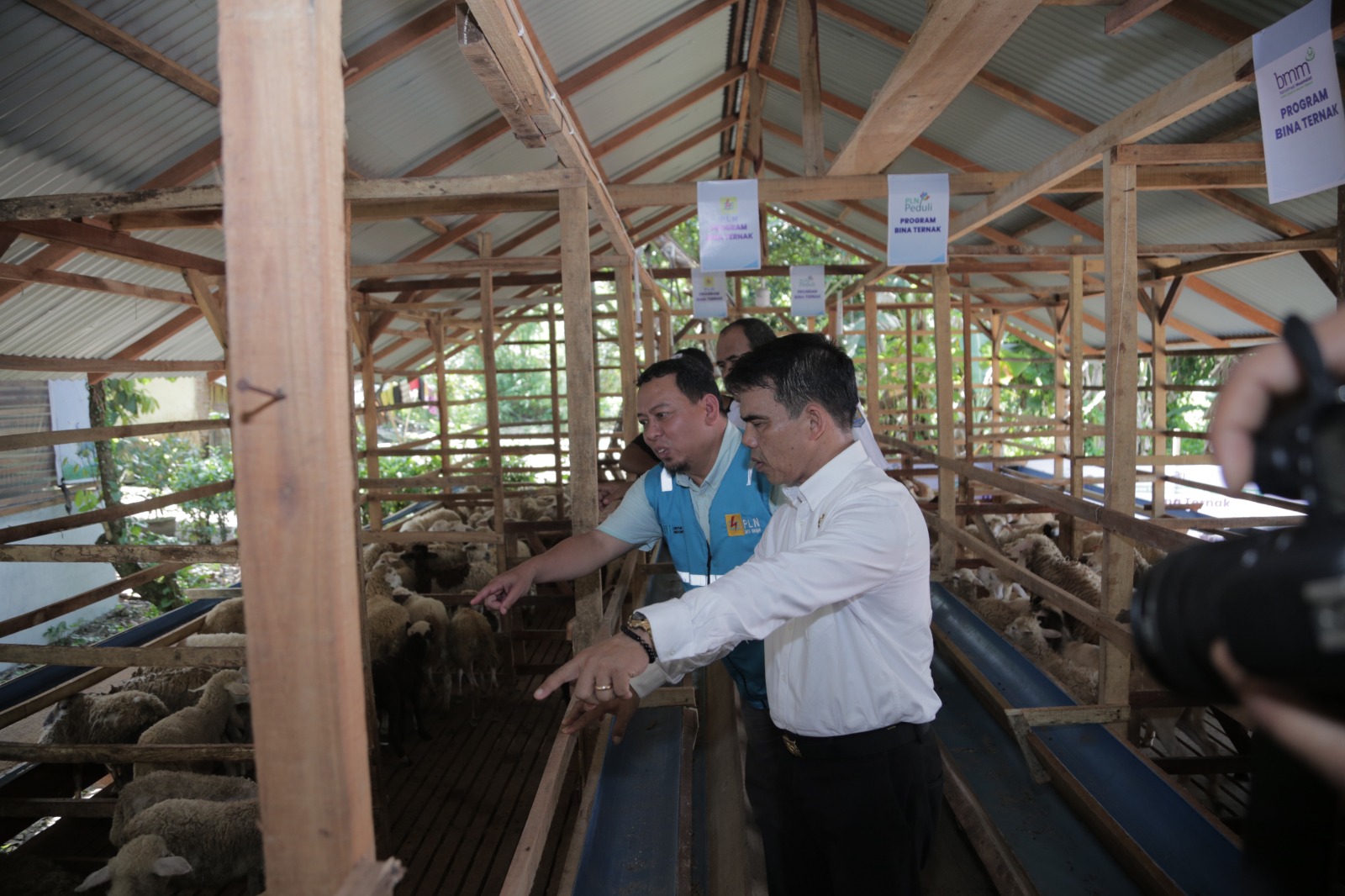 Manager Unit Pelaksana Pelayanan Pelanggan (UP3) Binjai, Arief Rahman Hakim bersama Assisstant II Pemerintah Kota Binjai, Joko Waskitono melakukan peninjauan penyediaan hewan domba di rumah kandang domba, Rabu (11/10).