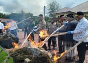 Kapolres Aceh Utara Musnahkan BB Ganja 59,6 Kg