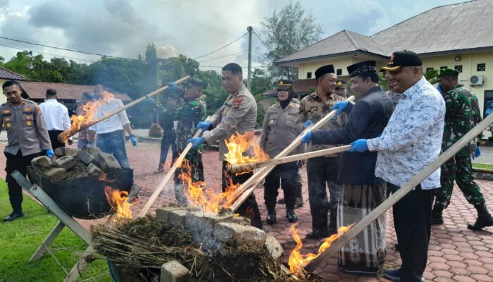 Kapolres Aceh Utara Musnahkan BB Ganja 59,6 Kg