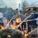 Kapolres Aceh Utara Musnahkan BB Ganja 59,6 Kg