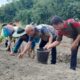 Dinas Pertanian Madina Bagikan 40 Ton Bibit Bawang Merah