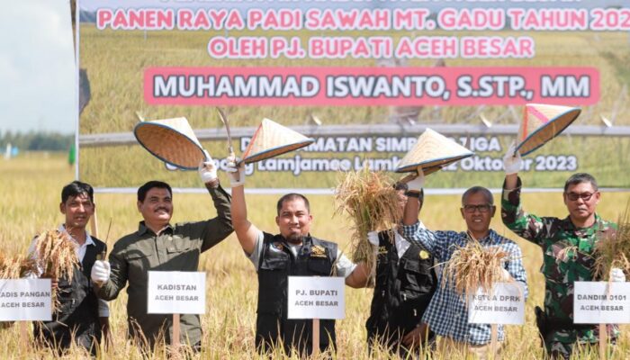 Pj Bupati Aceh Besar Panen Perdana MT Gadu