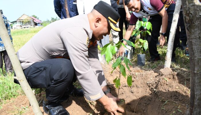 Lahan Tidur Sumber Pendapatan Dayah Di Aceh