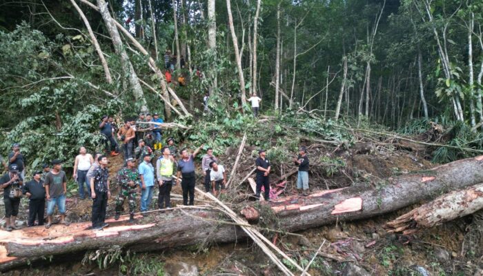 Dua Korban Longsor Bukit Simarsolpah Belum Ditemukan