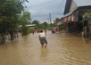 9 Kecamatan Di Nagan Raya Dan Aceh Barat Terendam Banjir