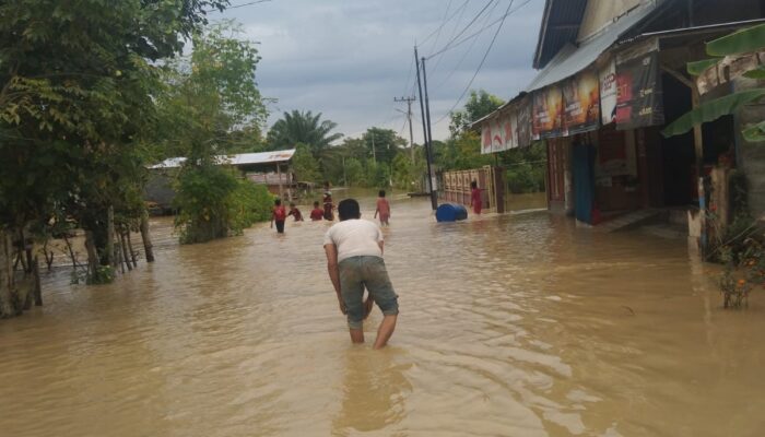 9 Kecamatan Di Nagan Raya Dan Aceh Barat Terendam Banjir