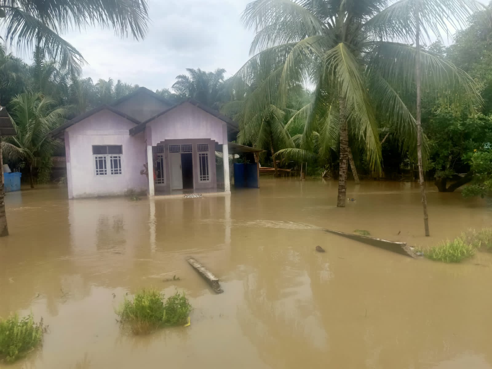 9 Kecamatan Di Nagan Raya Dan Aceh Barat Terendam Banjir