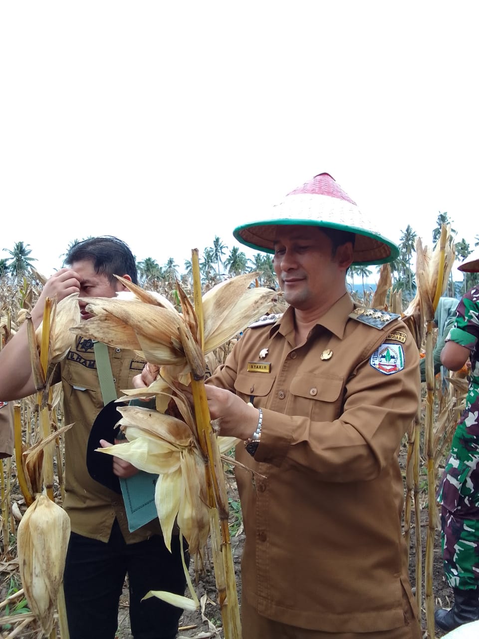 Penjabat Bupati Agara Panen Jagung Perdana