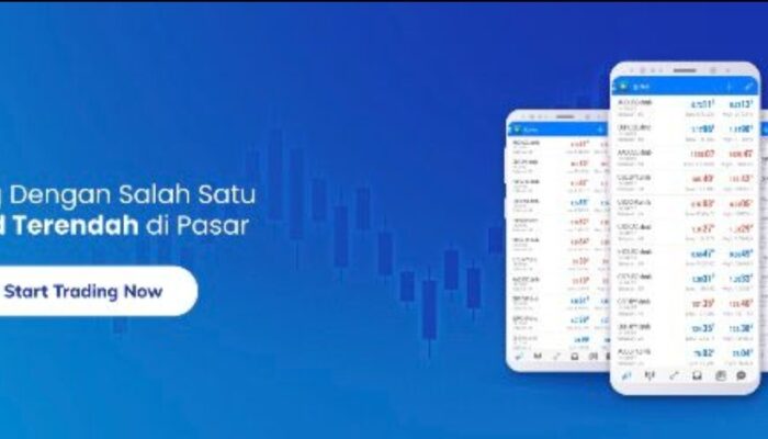 Trading Forex Mana yang Menguntungkan? Ini Tips dari Didimax
