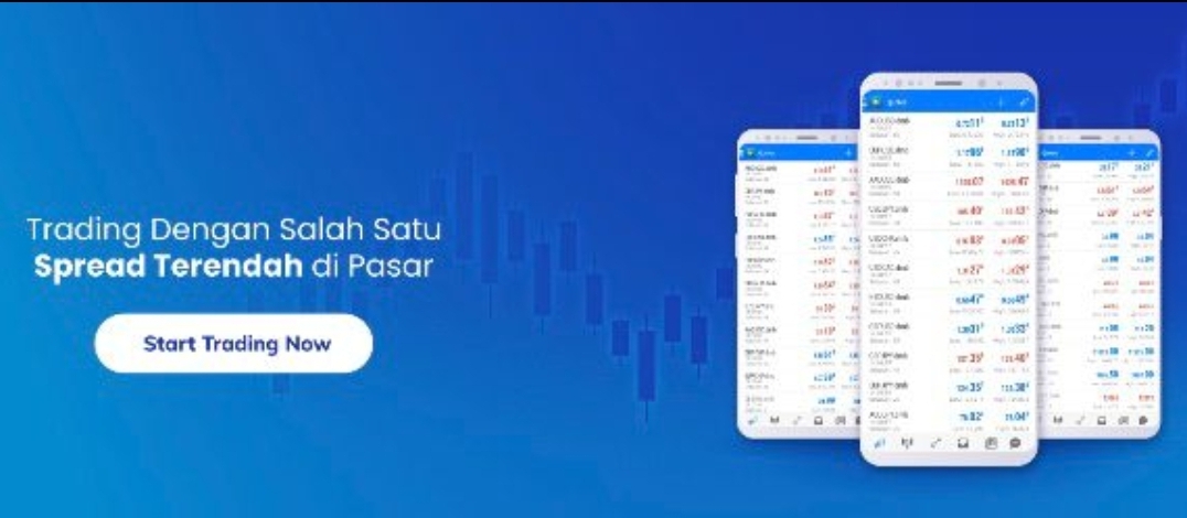 Trading Forex Mana yang Menguntungkan? Ini Tips dari Didimax