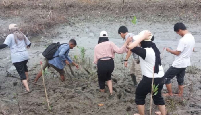 Peringati Kelahiran Mahatma Gandhi, Konjen India Tanam Pohon Bakau di Desa Saentis