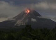 Muntahan Guguran Lava Gunung Merapi Capai 1,8 Km